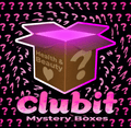 Beauty Mystery Box